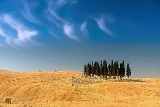 Casa Bandino Apartment Campiglia d'Orcia